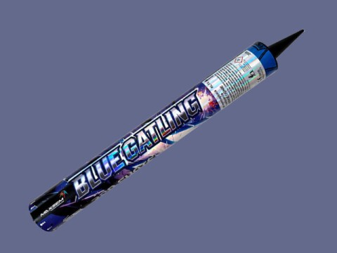 SF-2022.jpg